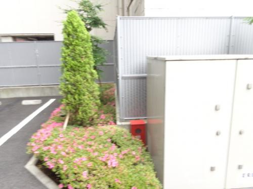 ルーブル住吉のエントランス