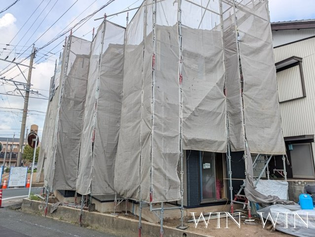 Paw House 柱の展望
