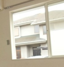 アプリコットの展望