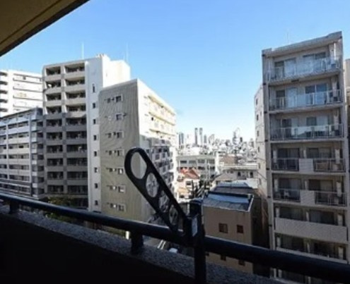 ナイスアーバン新中野の展望