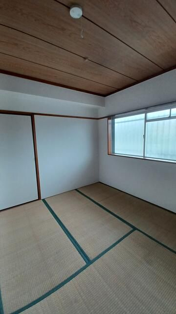 ハイム樹のその他