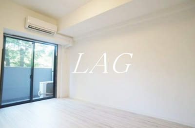 【居間・リビング】 | デュアレス愛宕虎ノ門 | 洋室のお部屋です。