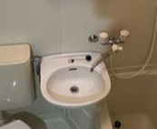 菱和パレス駒場東大前の洗面所