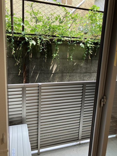 Villa Feliceの展望|★眺望★