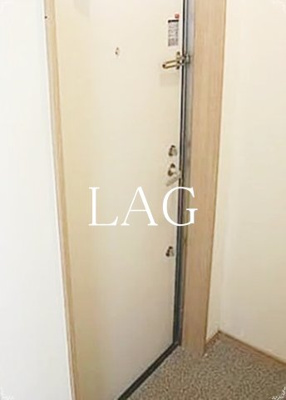 【玄関】 | Ａｅｒａ市川 | 玄関です。