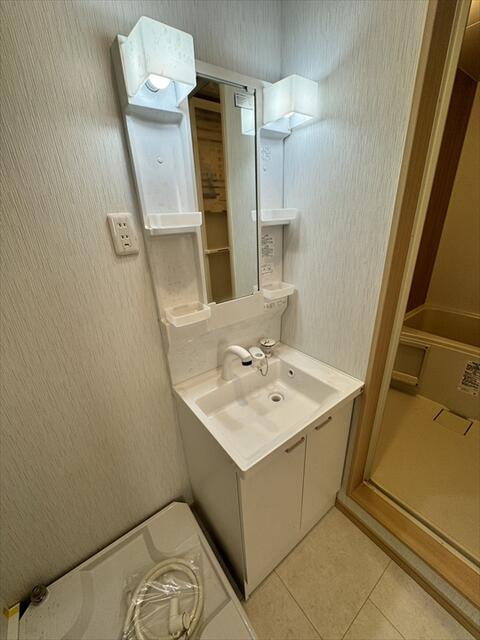 イーストアイリスの独立洗面台