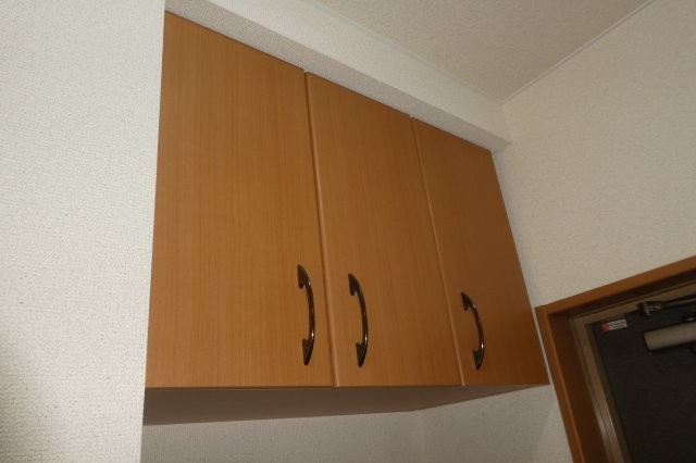 アベニール弐番館の玄関|シューズボックス上