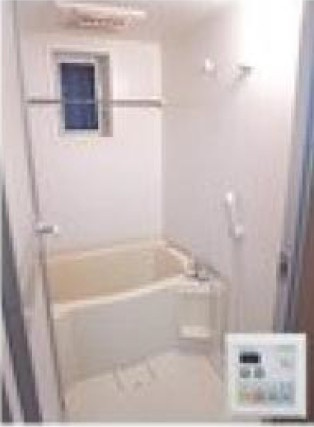 1K　Apartmentの浴室