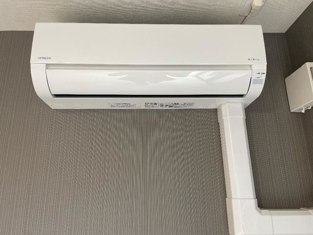 シェルル　キクエイのその他