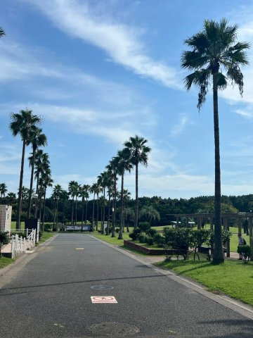 【周辺】 | 藤沢ニューライフ7号棟 | 辻堂海浜公園が目の前です。