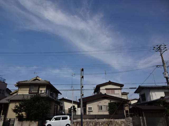 パークハイム弐番館　A棟の展望