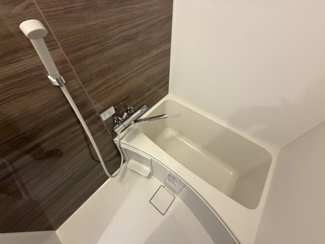 PREGNO456
