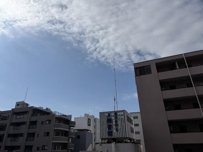 【展望】 | ジオ横浜大通り公園