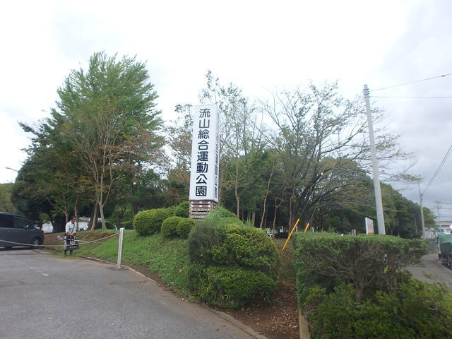 セントラルパーク　ウッズの展望|その他