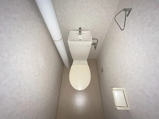 ハイネス生田のトイレ