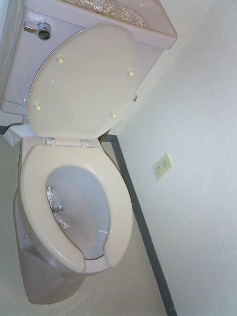 コスモスパジオ富士見台のトイレ|トイレです