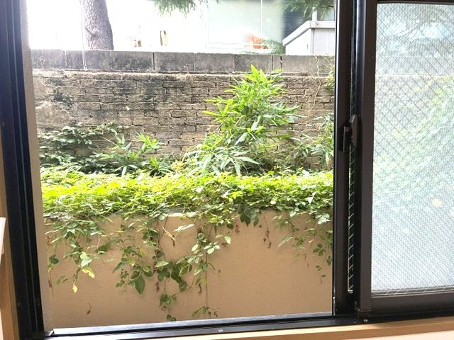 マンション　アドナイ・イルエの庭