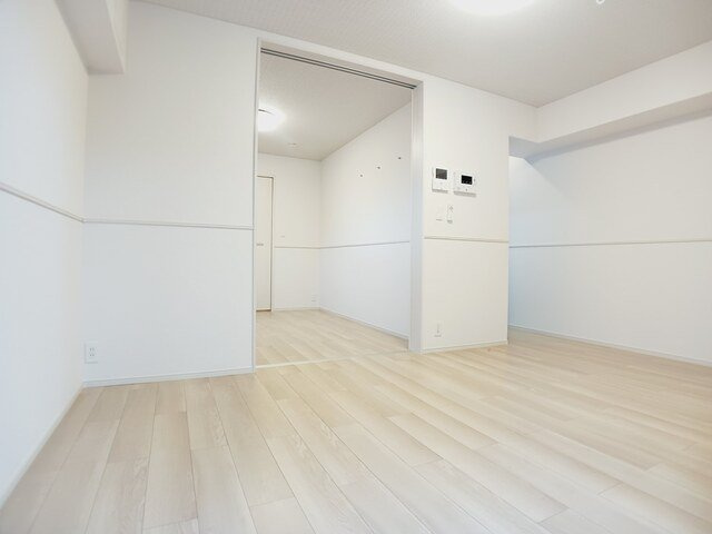 ル．リアンｋ－２のその他
