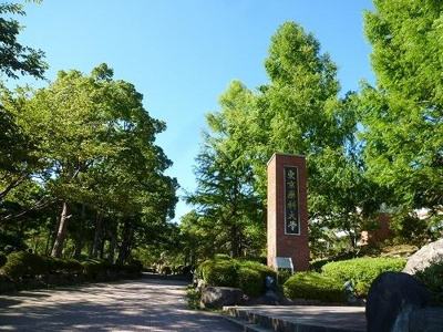 東京薬科大学 1400m