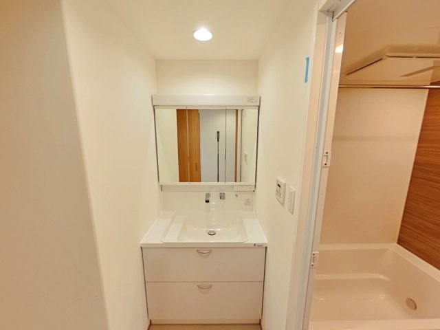 アルファステイツ岡山駅西の独立洗面台