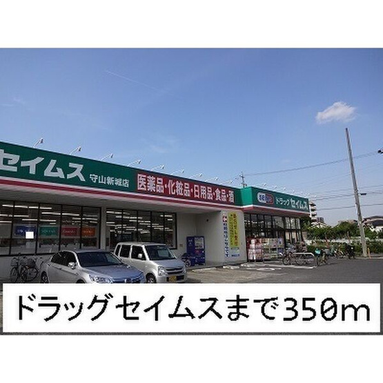 【周辺】 | プリムローズ