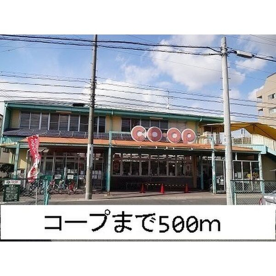 【周辺】 | プリムローズ