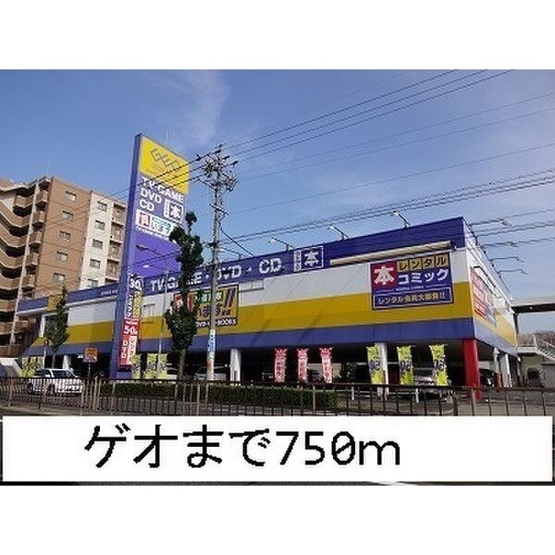 【周辺】 | プリムローズ