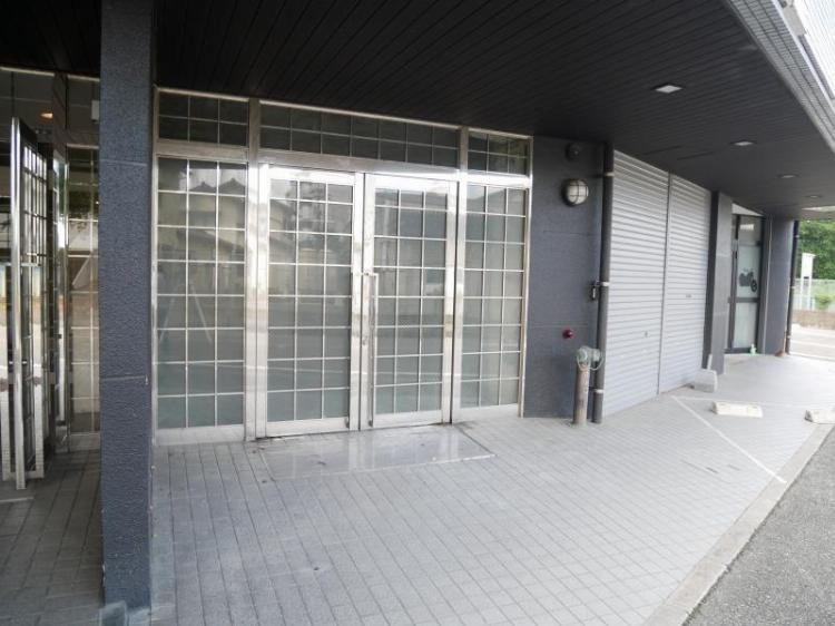 福岡市南区桧原７丁目の賃貸マンションのエントランス|物件の画像7