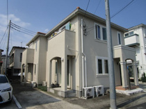 Ｍｉｎａｔａの画像