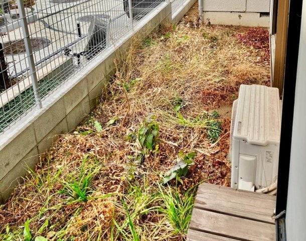 高井戸西戸建の庭|お庭の付いた物件です
