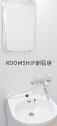 ラフィーネ学芸大学の洗面所