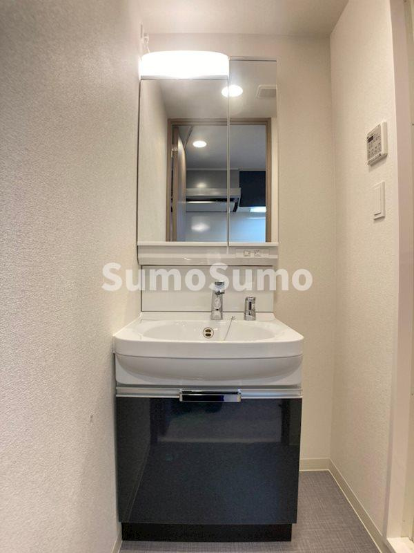 プレサンス谷町九丁目ディセオの洗面所|ゆったりとスペースのある洗面所