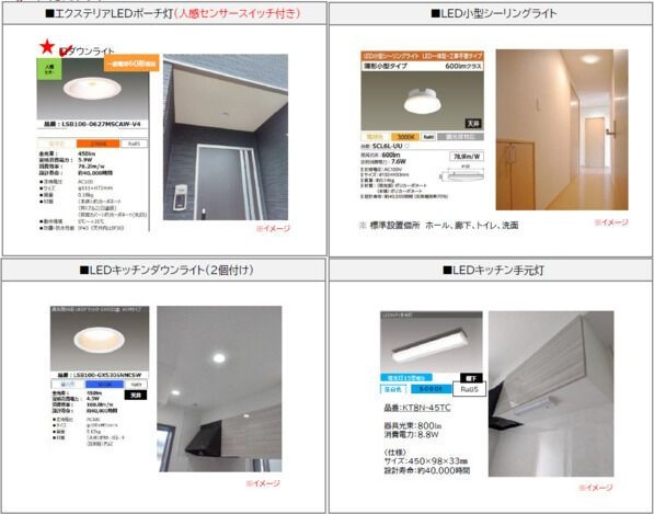 エパヌウィール　Aのその他