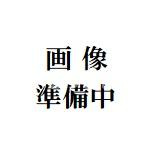 尾崎ビルの区画図