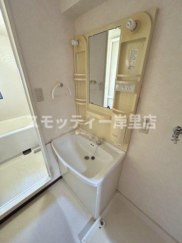 リーデルフェリア住之江の洗面所