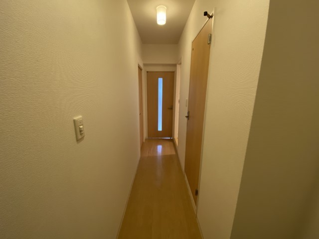 プラシド七瀬川のその他