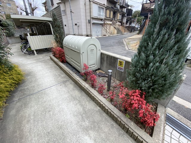 プラシド七瀬川のその他