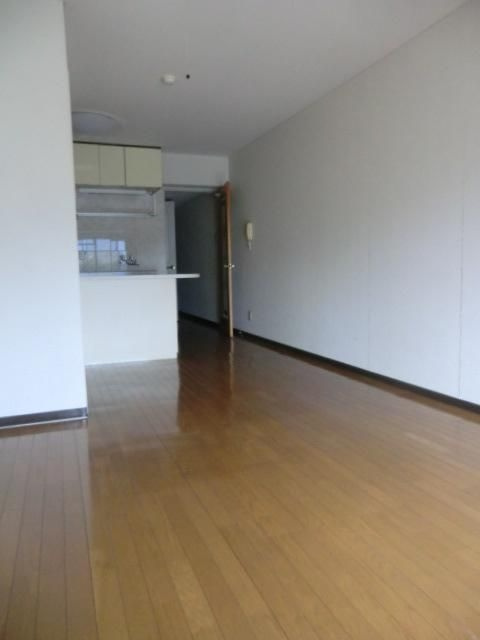 インペリアルサーフのその他