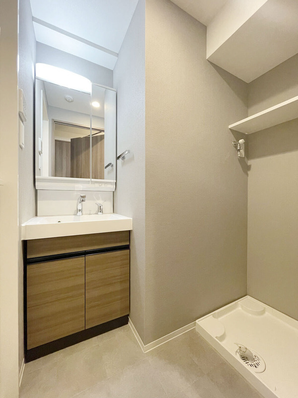 S-RESIDENCE高島平asoleaの洗面所