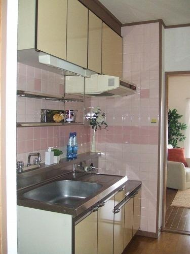 福岡市城南区西片江１丁目の賃貸マンションのキッチン|物件の画像4