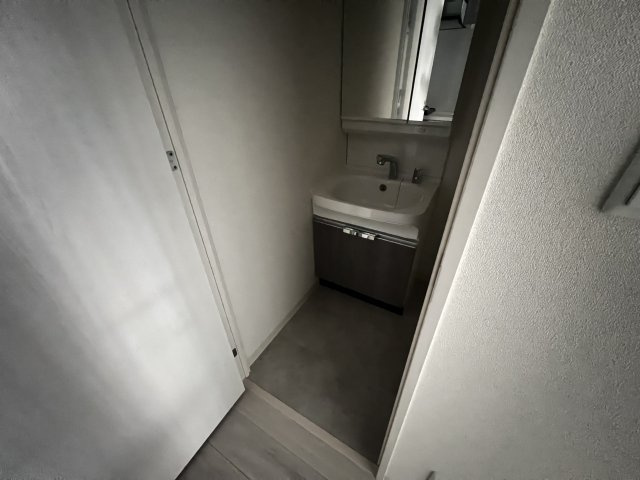 プレサンス大国町アドロッソの洗面所