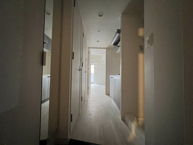 プレサンス大国町アドロッソの玄関