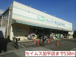 プラシードのその他