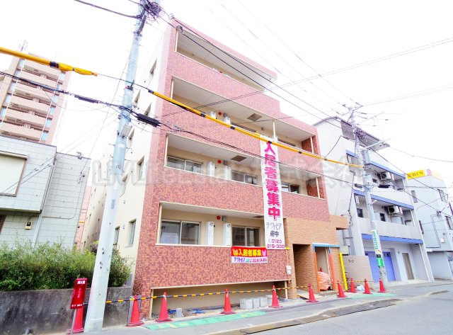 エクセラン