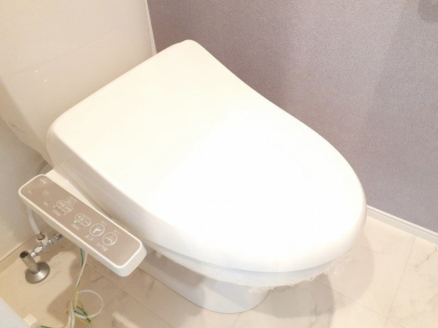 メゾン　ソレイユⅢのトイレ
