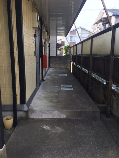 パインアレイのロビー|共用廊下