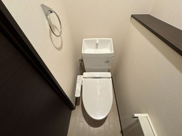 レオネクストヴィオラのその他