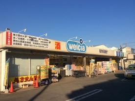 パシフィック　フィールドの周辺|ウエルシア薬局坂戸柳町店まで858ｍ