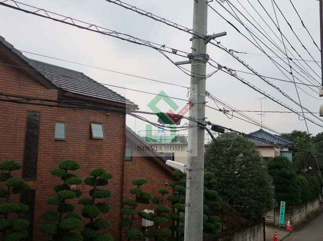 マロニエの展望