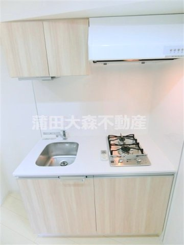 ブライズ蒲田SOUTHのキッチン|2口ガスシステムキッチン